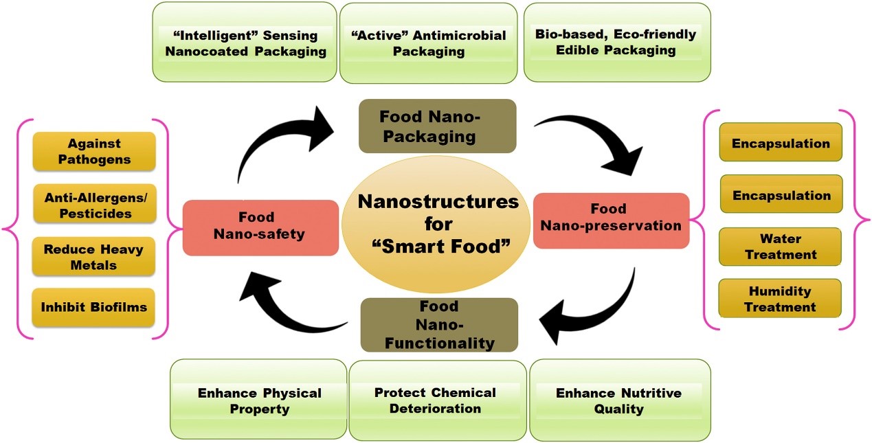 Systematic representation of application of nanoparticles in various areas of food industry.