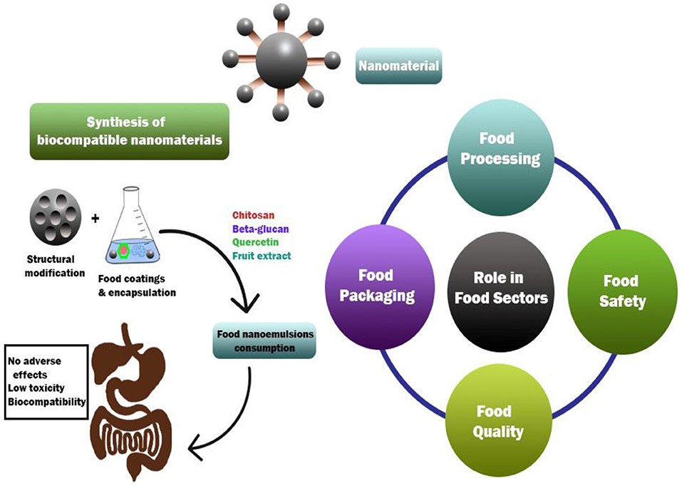 Graphical abstract of functions of biocompatible nanomaterials in food industry.