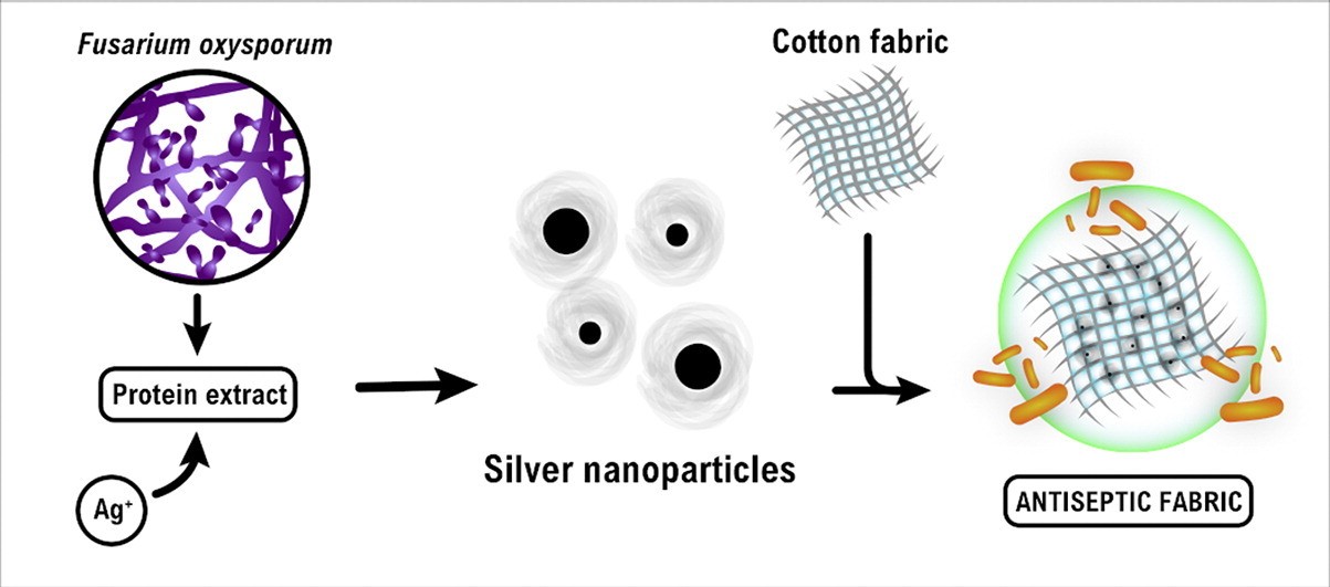 Antimicrobial textiles