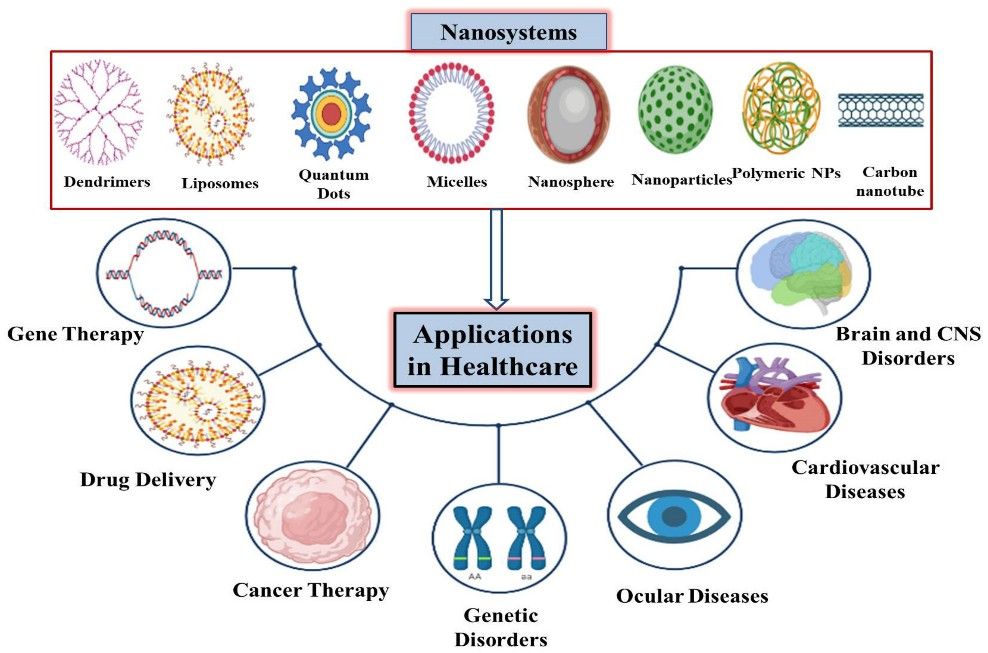 Nanoparticles for Therapeutic Cargos Health Products