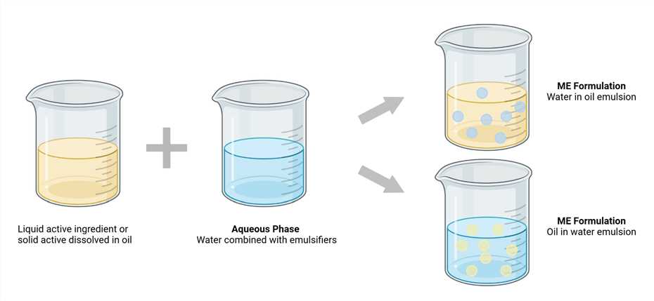 Schematic outline of Microemulsion Formulation.