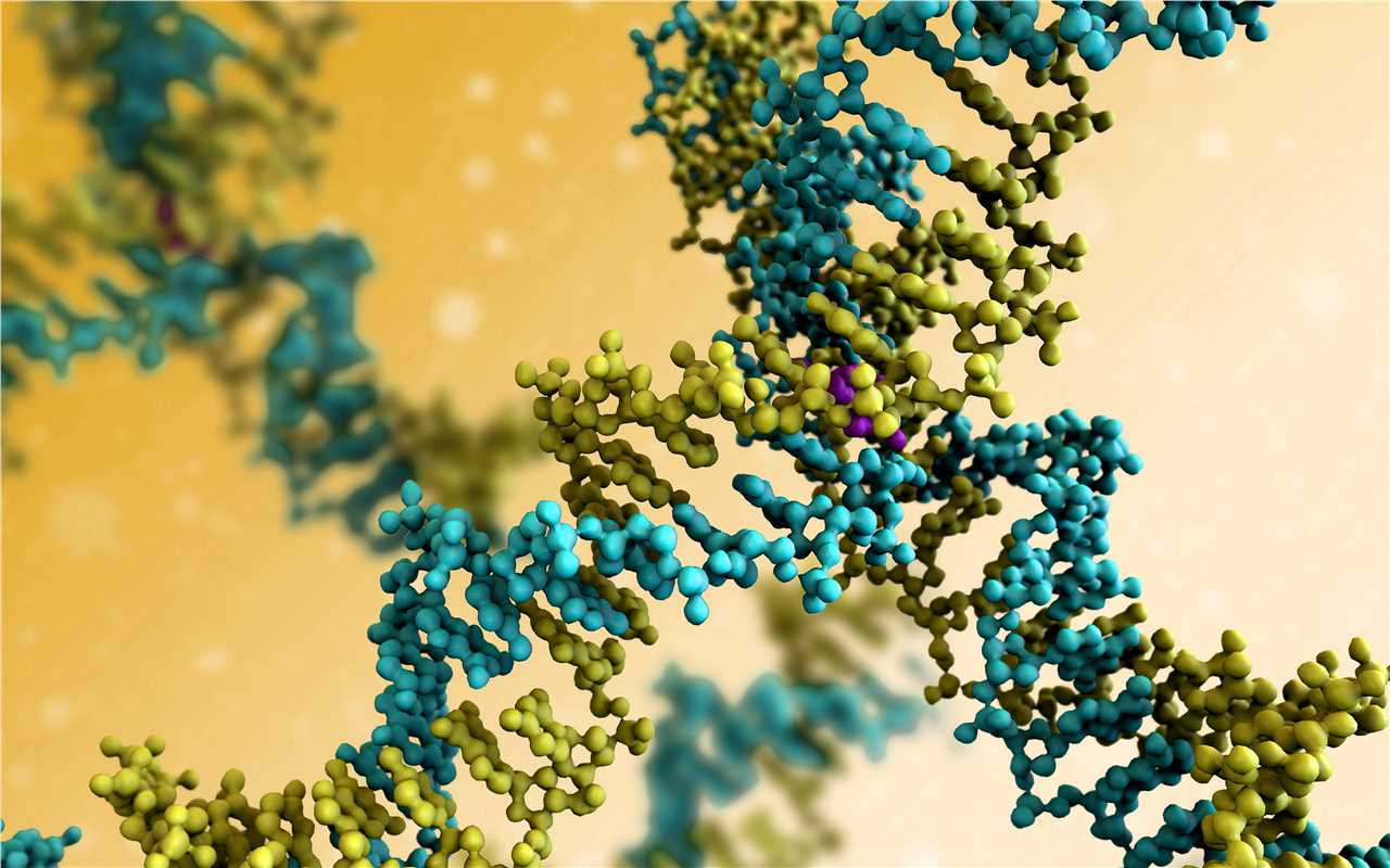 nucleic-acids-proteins