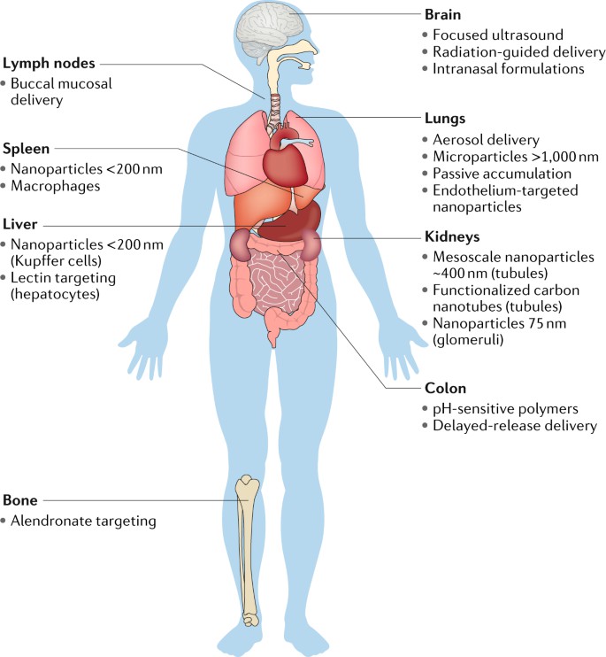 Figure 1.