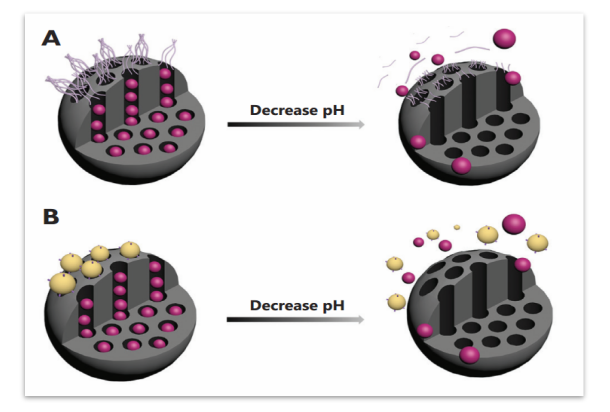 pH-Responsive Controlled-Release Nanocarriers