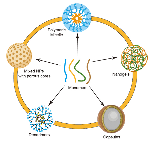 Schematic representation of polymer types