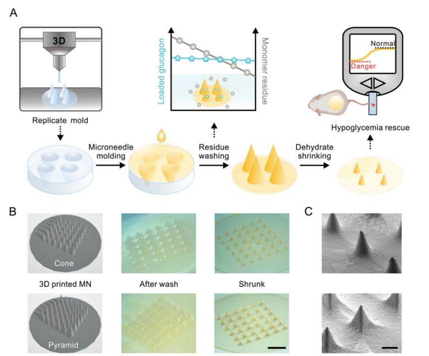 Figure 2. The process of making microneedle patches with 3D printing technology.