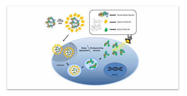 Redox-Responsive Controlled-Release Nanocarriers