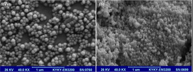 Figure 1. Microscopic images of mPEG-PLA diblock and PLA-PEG-PLA triblock nanoparticles. (Ghasemi R, 2018)