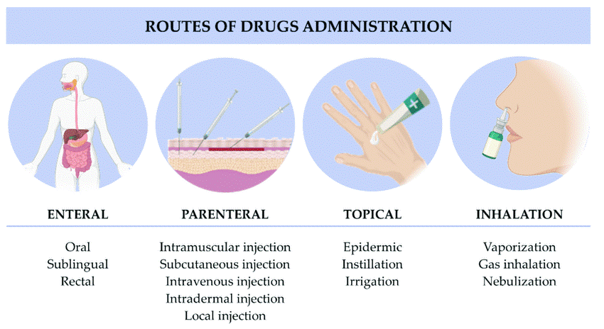 Figure 1. Classification of routes of drugs administration.