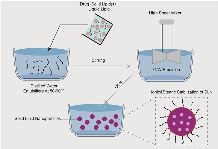 Figure 1. Structure of transfersomes and ethosomes.