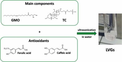 Lipid vesicular gels for topical administration of antioxidants.