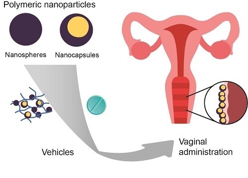 Vaginal Administration.