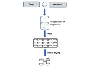 Freeze-dried Flash Release Tablets Drug Delivery System