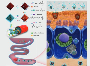 pH Responsive Capsules Drug Delivery System