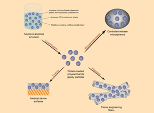 Sustained-Release Microspheres