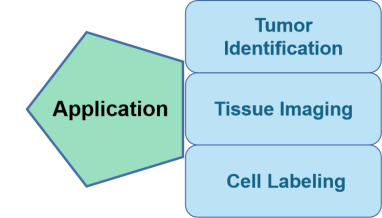 PEG derivatives for Drug Development