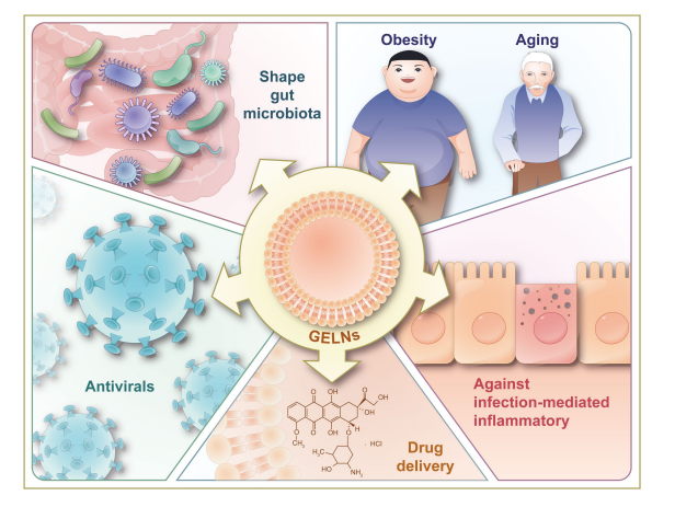 Biomolecules present in exosomes