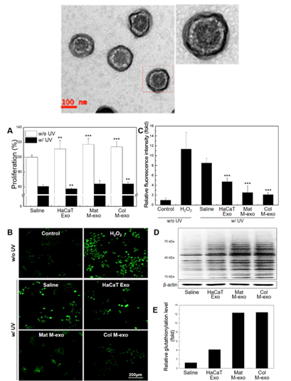 Biomolecules present in exosomes