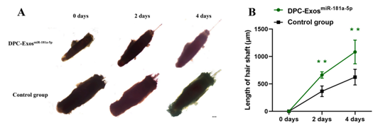 Biomolecules present in exosomes