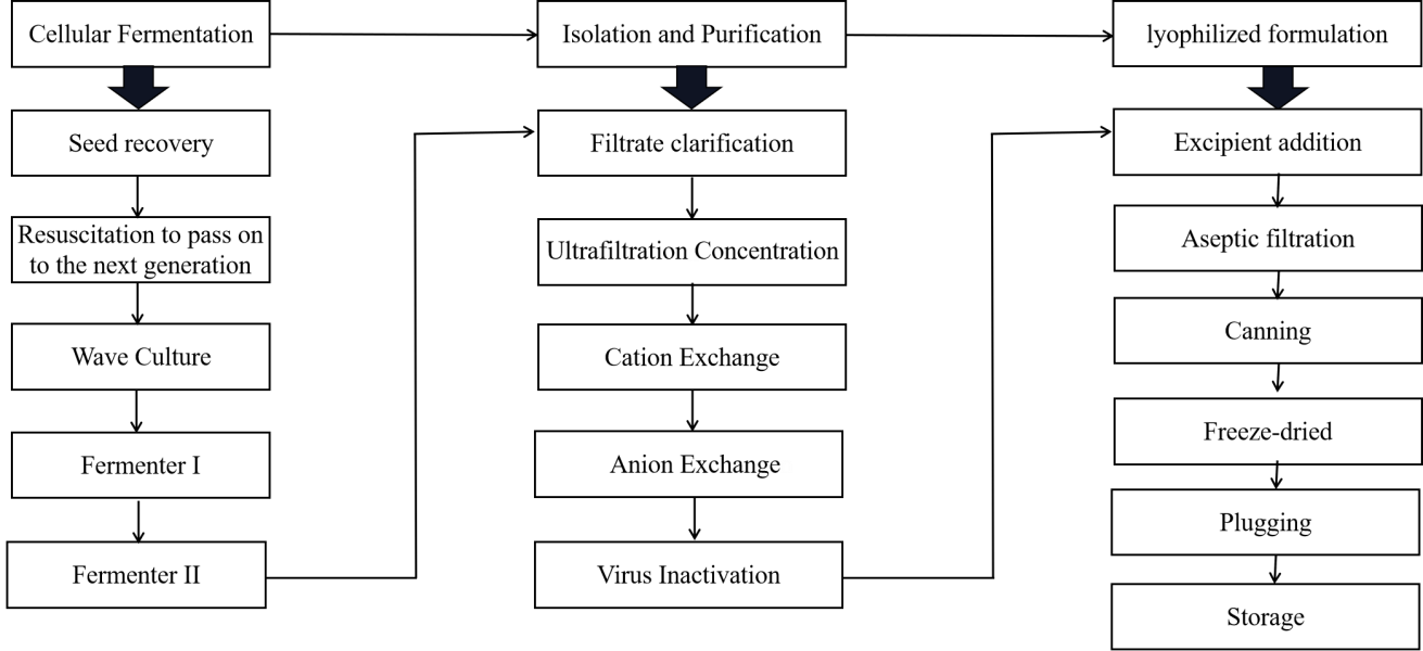 Composition of exosomes