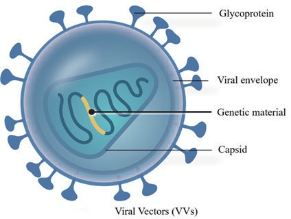 Gene Therapy Delivery Platforms