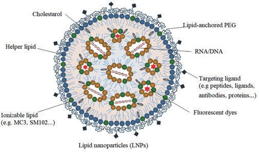 Gene Therapy Delivery Platforms