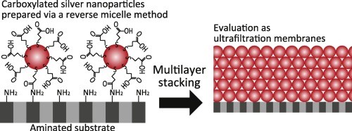 Figure 1. Carboxylated silver nanoparticles.