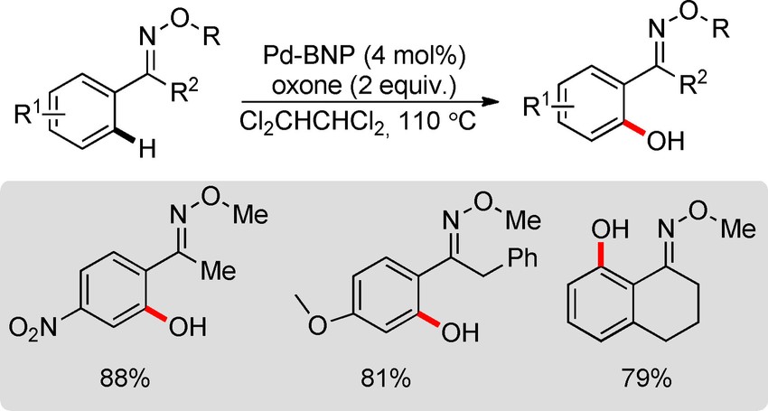 Figure 1. Direct C−H hydroxylation using Pd-nanoparticle.