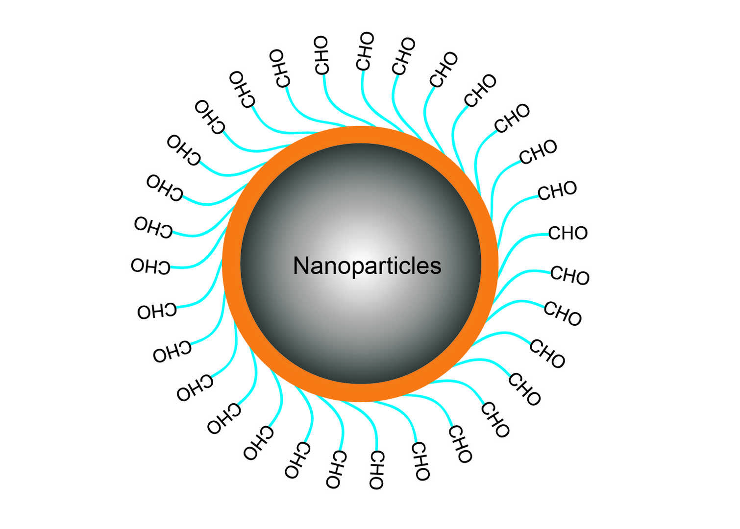 Figure 1. Direct C−H hydroxylation using Pd-nanoparticle.