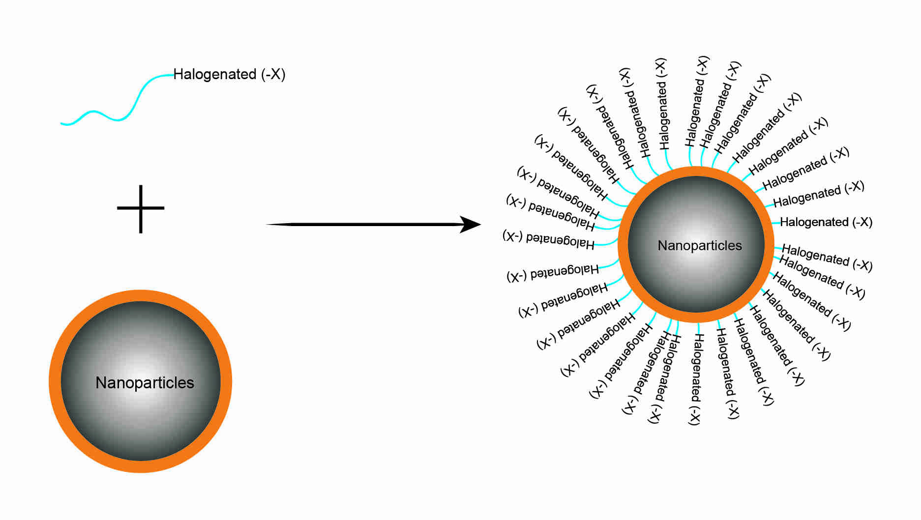 Figure 1. Halogenation (-X) modification of nanoparticle surface.