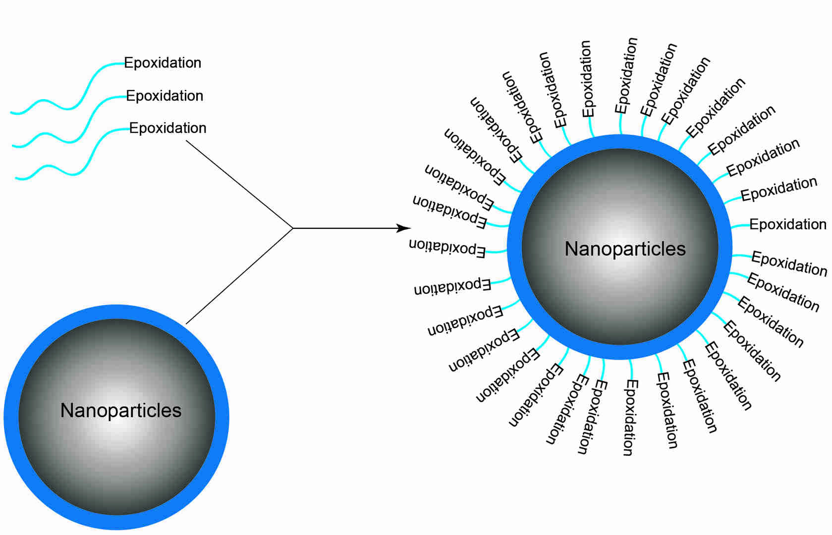 Figure 1. Nanoparticles with Epoxidation.