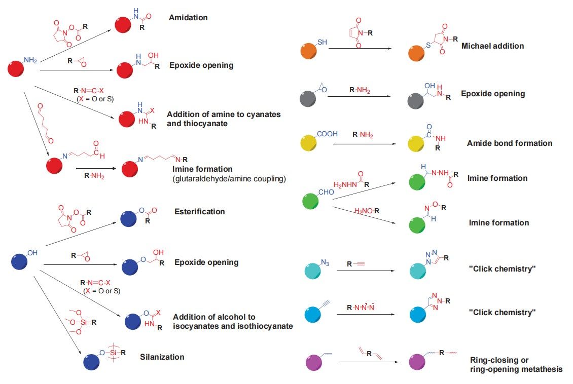 Figure 1. Main strategies for covalent functionalization of nanoparticles.