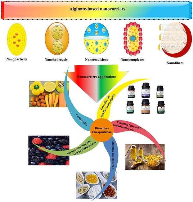 Figure 1. Alginate- nanocarriers for the delivery and controlled-release of bioactive compounds.