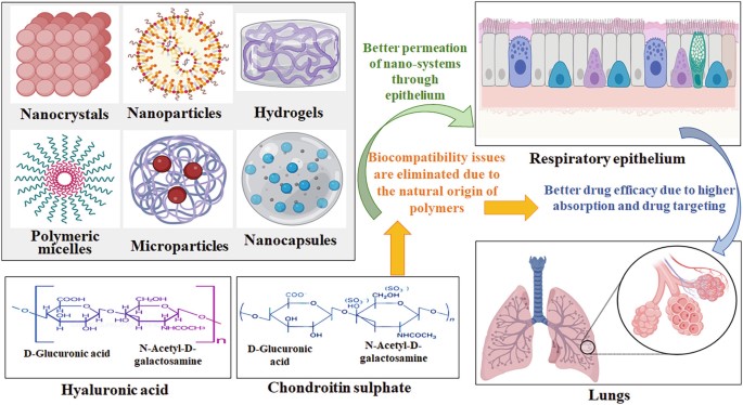 Comparison of Hyaluronic Acid and Chondroitin Sulfate Drug Delivery Systems