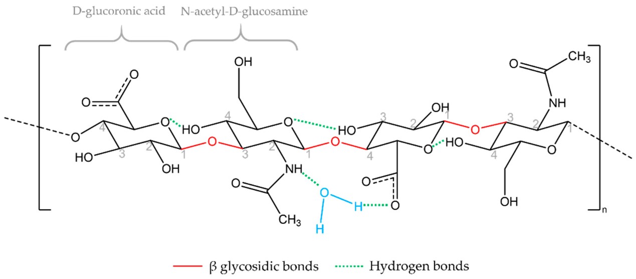 Exploration of the Complex Structure of Hyaluronic Acid