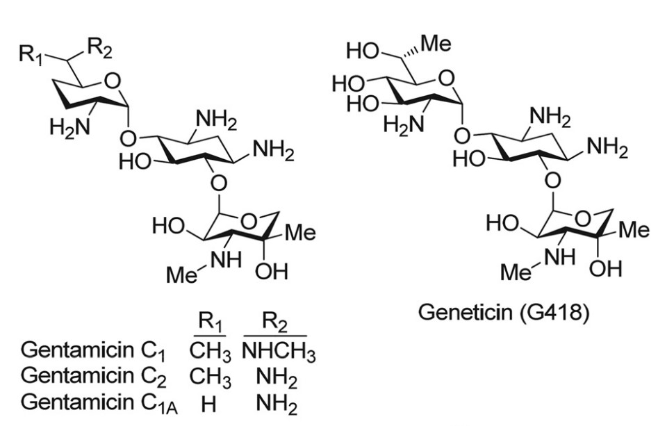 Figure 1. Chemical structure of G418.