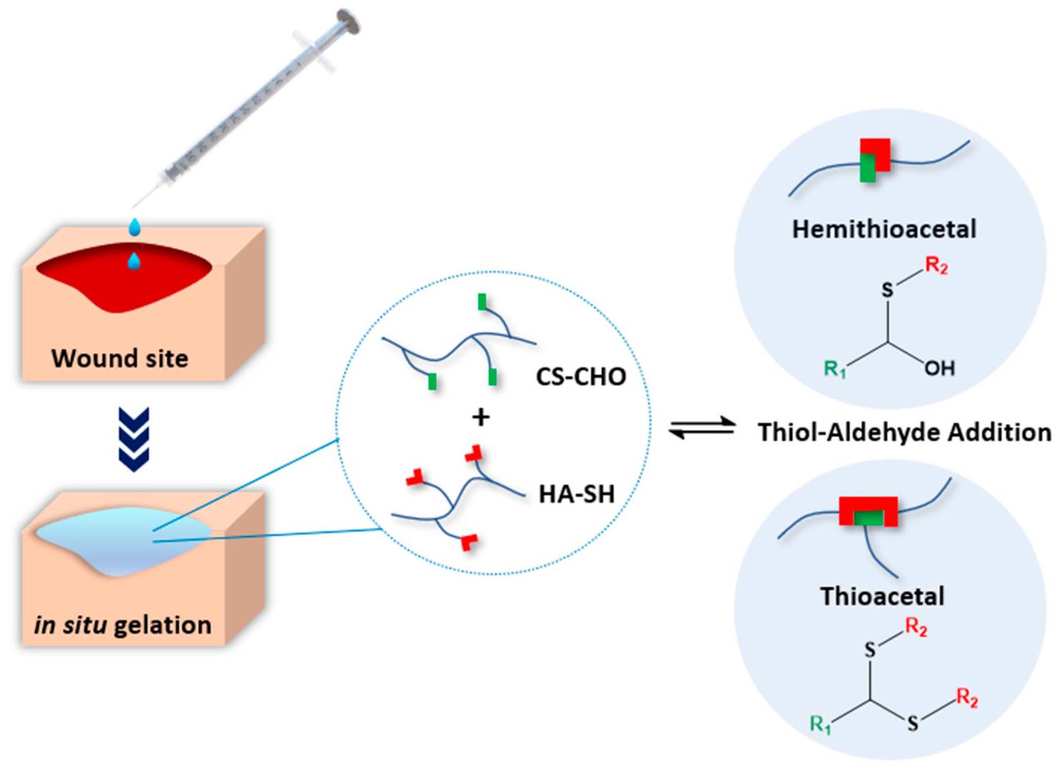 Innovative Drug Delivery Systems Utilizing Chondroitin Sulfate and Hyaluronic Acid