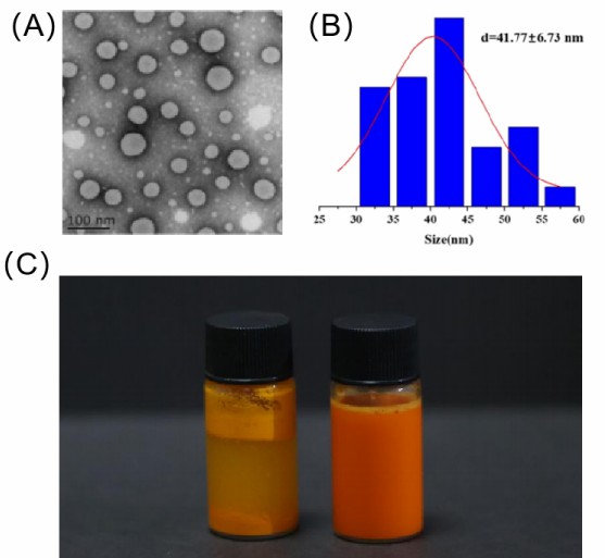 Liposomal Curcumin-Case Study