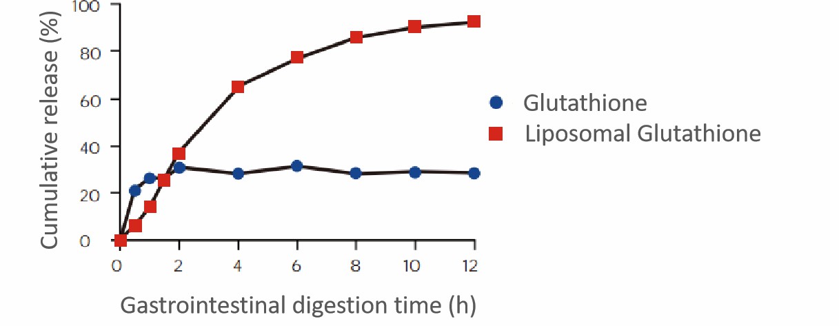 Figure 2: Liposomal glutathione release at different times in the body.