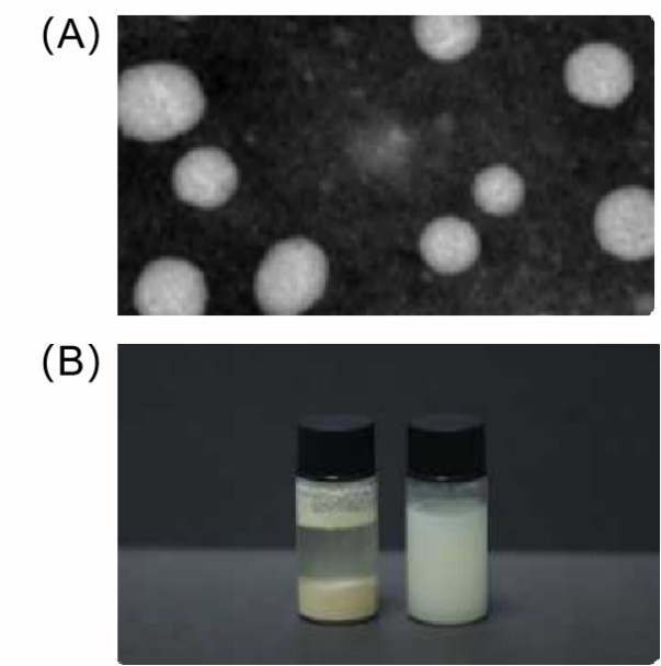 Liposomal Resveratrol-Case Study