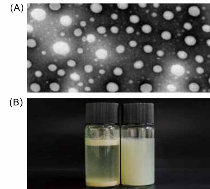 Liposomal Silymarin-Case Study