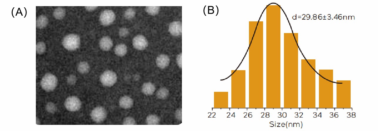 Liposomal Vitamin C-Case Study