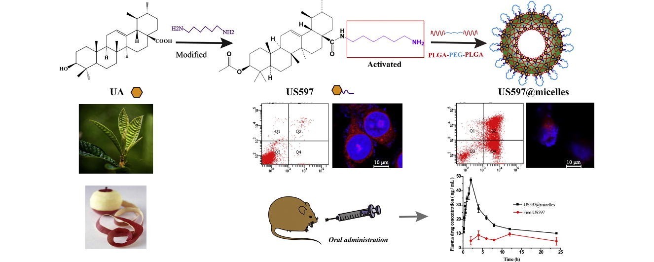 Figure 1. In vivo pharmacokinetic evaluation of PLGA-PEG-PLGA.