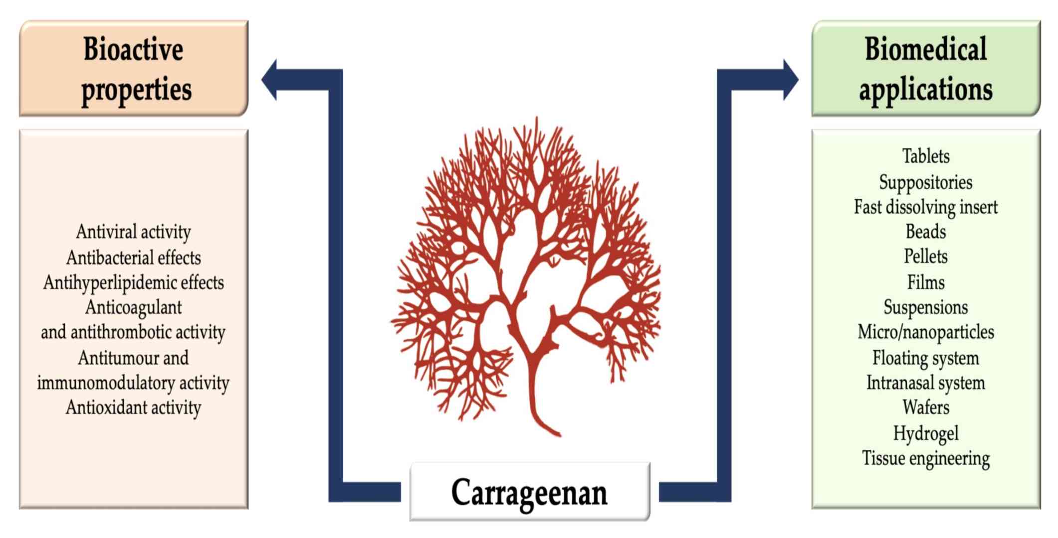 Figure 1. Applications of carrageenan in drug delivery systems and other biomedical applications