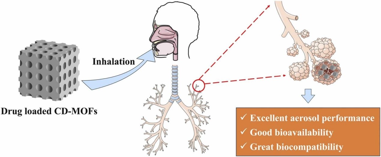 Figure 1. y-Cyclodextrin MOFs as a Cyclosporine A Pulmonary Delivery Vehicle.